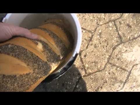 Vinpose og vådt franskbrød