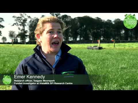 How much grass does a cow eat