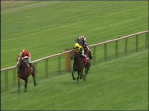 SWB Derby Trial Bremen 2006 (Listed): Saddex - Damascena - Leonardo's Friend