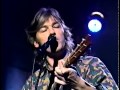 Robyn Hitchcock - I Something You [4-3-95]