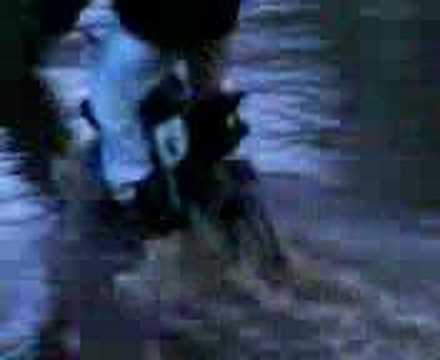 skindogg productions