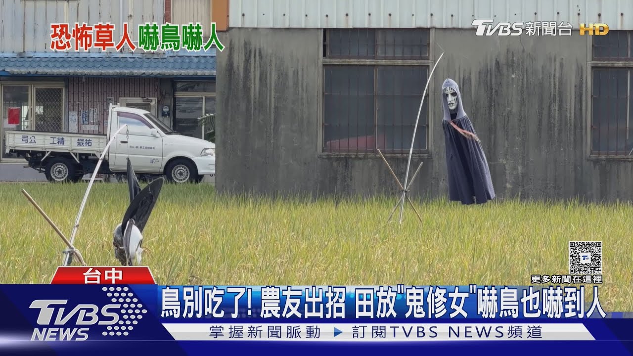 神岡稻田出現「鬼修女」隨風飄動!一看靠近竟是這東西 嚇壞路人
