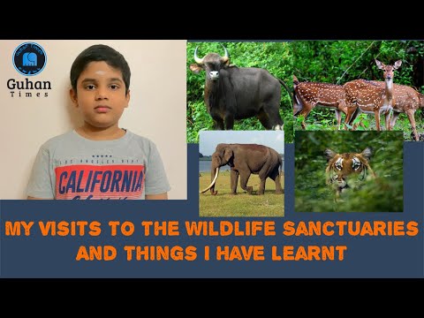 My Visits To The Wildlife Sanctuaries And Things I Have Learnt