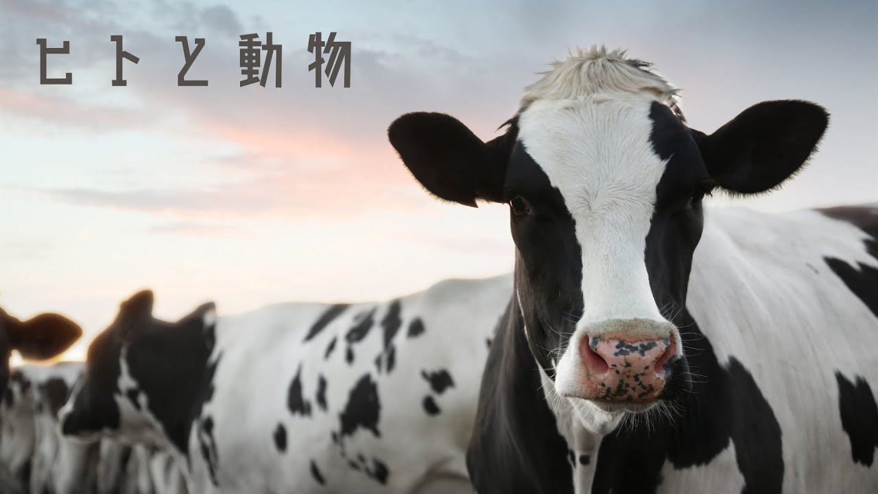 道徳に動物の権利は含まれるか『新・動物の解放｜ピーター・シンガー』