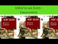 UMjik Jelwa Shezi Emakhoneni