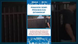 Download lagu SHORT | Sosok Pemasok Senjata Api ke DE Pegawai KAI Akhirnya Ditangkap mp3