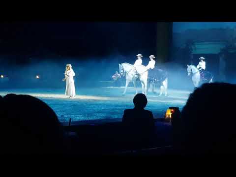 Apassionata 2018 Gefährten des Lichts