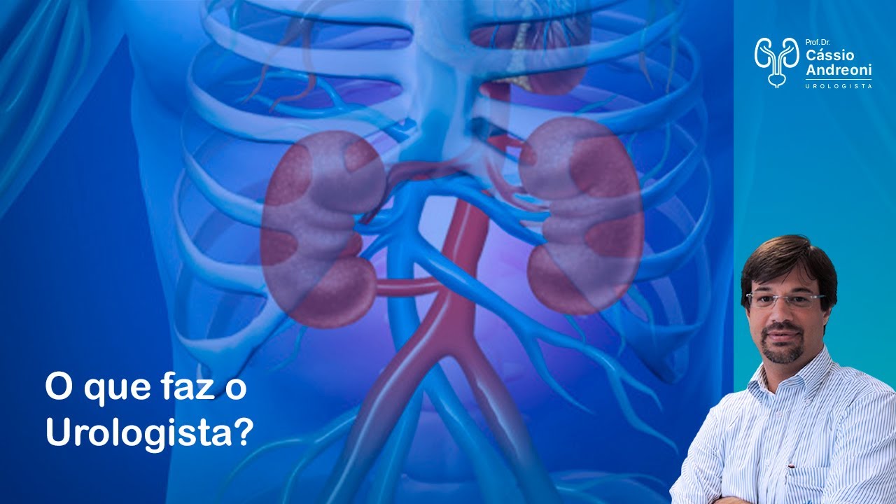 Assistir agora Urologia O Que é Urologia O Que é