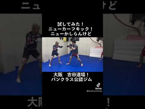 試してみた！ニューカーフキック！ニューかしらんけど