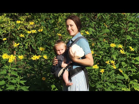 Summer garden tour on our Estonian homestead | story 43