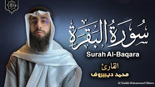 سورة البقرة كاملة للقارئ محمد ديبيروف Muhammad Dibirov Surah Al Baqara Muhammad Dibirov
