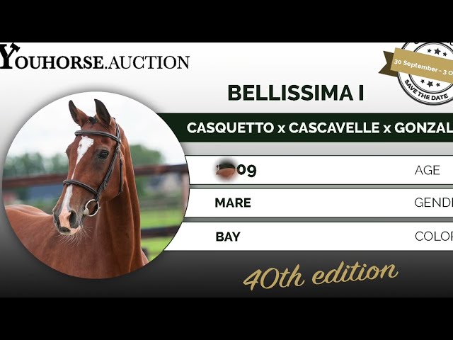 Bellissima I