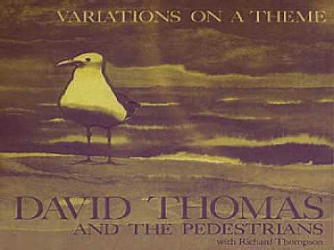 David Thomas And The Pedestrians - Variations On A Theme
