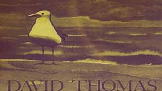 David Thomas And The Pedestrians - Variations On A Theme