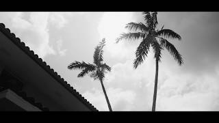 ALT THERAPY | A Different Reality