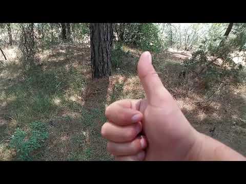 Ormanda Define Ararken Medeni Metallar Çıktı !!!