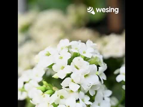 Bersyukur Untuk Setiap KaryaMu