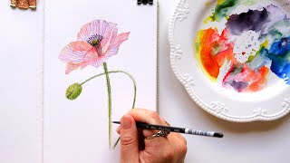 How to Paint Transparent Poppy Flower in Watercolor
