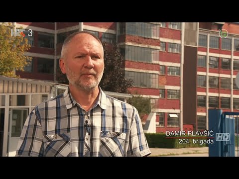 Bitka za Vukovar, "Kako je obranjena Hrvatska"