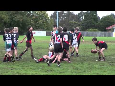 EDFL U10 Div 1 , Round 5 , 15-05-11, Hillside vs Pascoe Vale