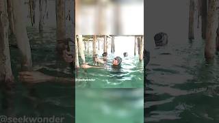 Download lagu The bajau people who leave on water mp3