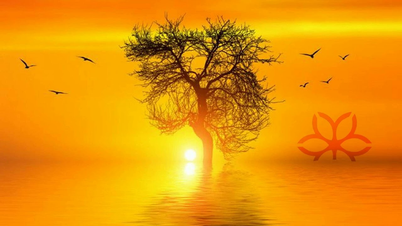 Neuron - Everlasting