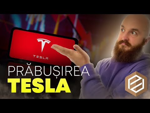 Q&A Ep. 19 - Prăbușirea Tesla, dobânda FED și AMC