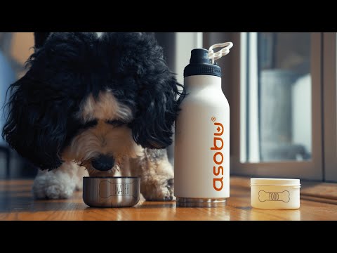 Gertuvė Asobu – Dog Bowl Buddy – nerūdijančio plieno butelis su 2 juodais dubenėliais video