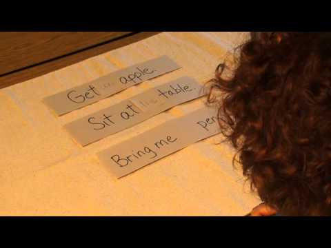 Parts of Speech: Article