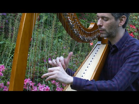 Handel's Harmonious Blacksmith - music video from Harpist in the Wild
