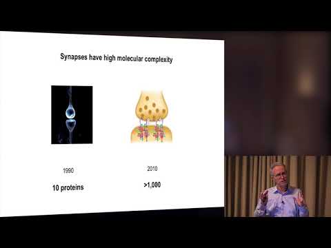 ISIR PRESIDENT’S INVITED ADDRESS: Madness, Genius and the origin of the brain: