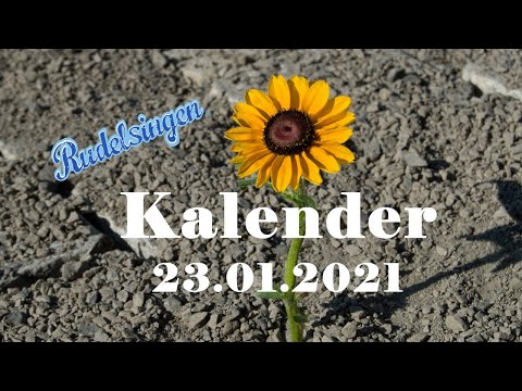 Der Mitsing - Kalender am 23.01.2021 - Tag 23