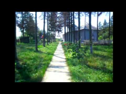 Bun Venit in Madarjesti