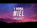 [1 HORA] Lauri Garcia - Miel (Letra/Lyrics)