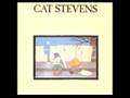 Cat Stevens - The Wind