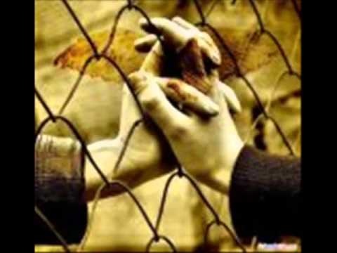 ANCHE QUESTA E' VITA  (ANONIMO ITALIANO)