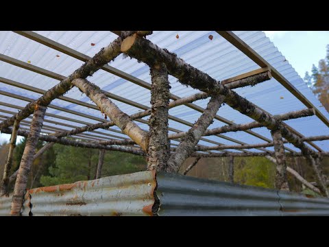 Building a Simple Homestead Sheep Shed - FULL BUILD