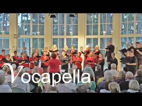 Vocapella - Ein Freund, ein guter Freund | Live in Timmendorfer Strand