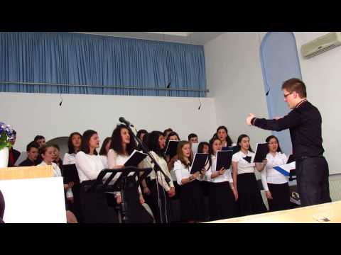 TBBHB - Ce zori slavite