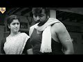 Raa Koli Rendu Muzhichirkku Romantic Song WhatsApp Status Nightvibes Romance
