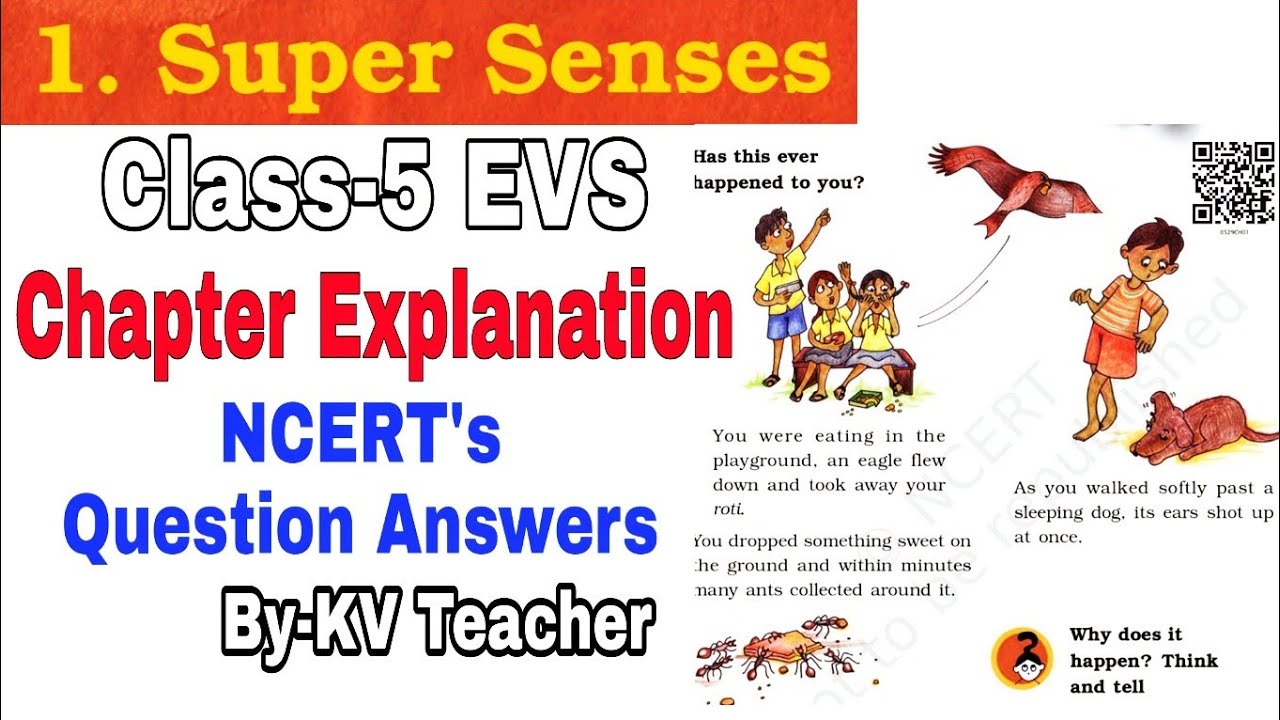 Super Senses (Page 1-5) / Class-5 EVS Chapter 1 Explanation and NCERT Question Answers by KV Teacher