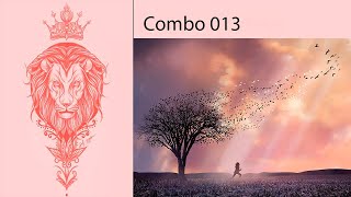 Combo 013 - Áudio Subliminal(Resultados Rápidos)