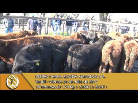 21-07-17 Venta de Hembras - Pedro y Raul Alonso Ganados S.A. - Tandil.
