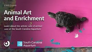 Varsity Tutors' StarCourse - Animal Art and Enrichment presented by South Carolina Aquarium