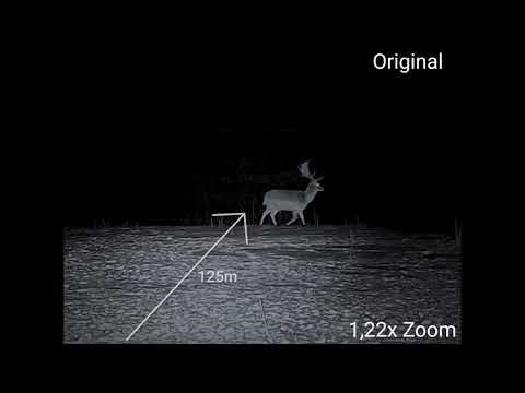 Dörr Nachtsichtgerät ZB 200 PV | 490338