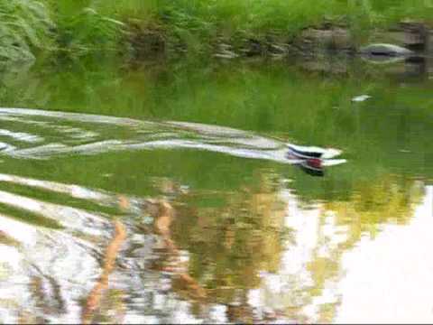 1:200 bodasteinur RC