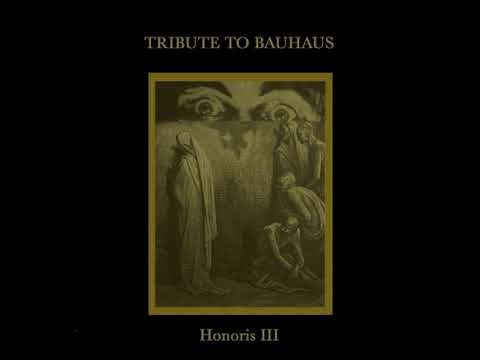 radikal kuss -  dark entries