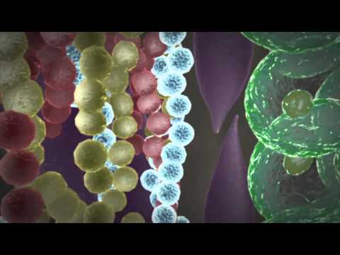 Chris Blaylock 2014 Demo Reel