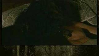 Gabriel Knight 2 longplay Chapter 5 Part 1/9