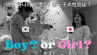 【性別発表】韓国人旦那にジェンダーリビールバルーンでサプライズ!🩷🩵日韓夫婦/妊娠16週